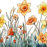 March-Daffodil