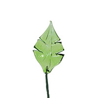 Leaf 1