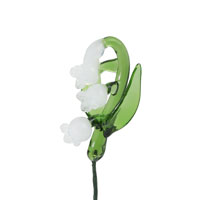 May-Lily of the Valley