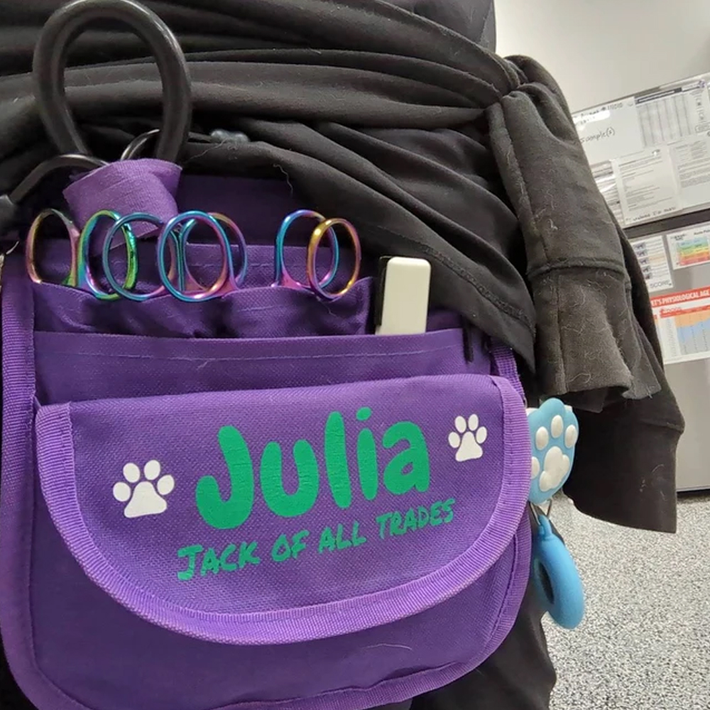 Custom Name Vet Tech Fanny Pack, Multi-color Vet Tech Tool Belt, Vet Tool Organizer Bag, Gift for Vet Tech/Assistant