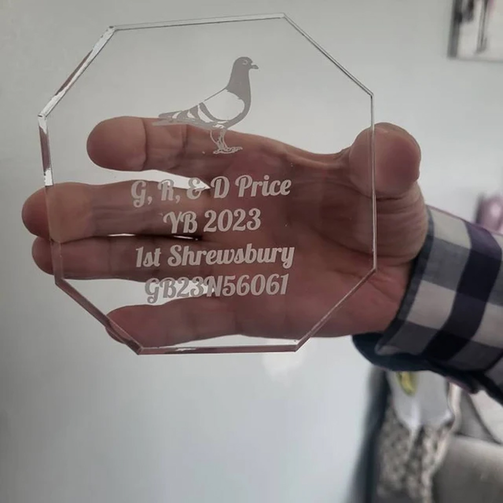 Personalised Glass Award Trophy Award Plaque, Various Trophies and Styles
