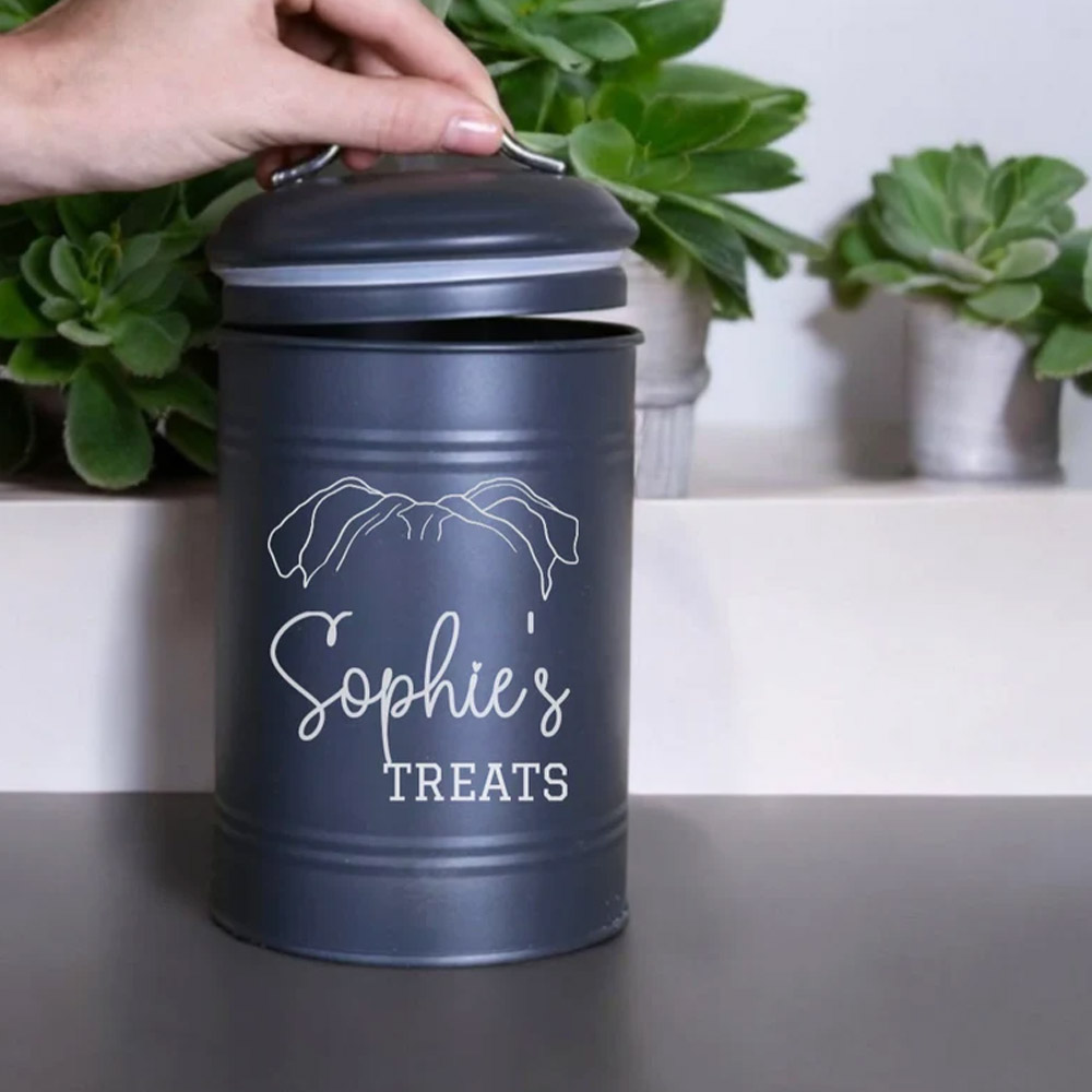 Personalized Name Pet Treats, Dog Treat Treats Bowl, Treat Container, Metal Storage Jar Canister, Gift for Pet Lover/Owner