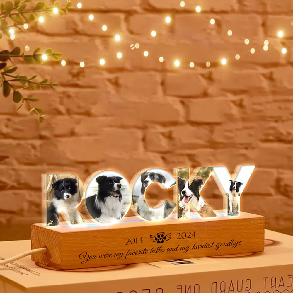 Personalized Pet Photo Memorial Night Light with Pet Name, Dog Picture Frame Lamp, Remembrance Gifts for Loss of Pet, Cat Passing Away Sympathy Gifts