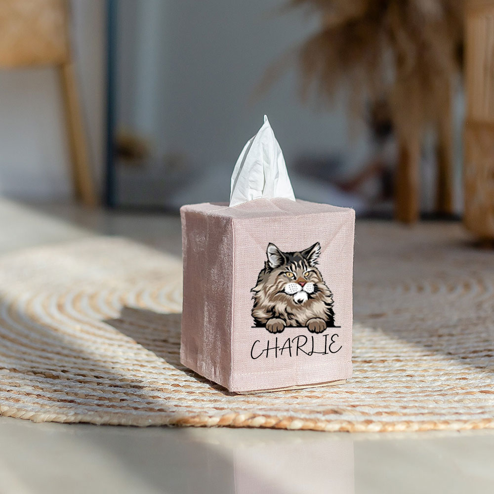 Personalized Cat Tissue Box Cover