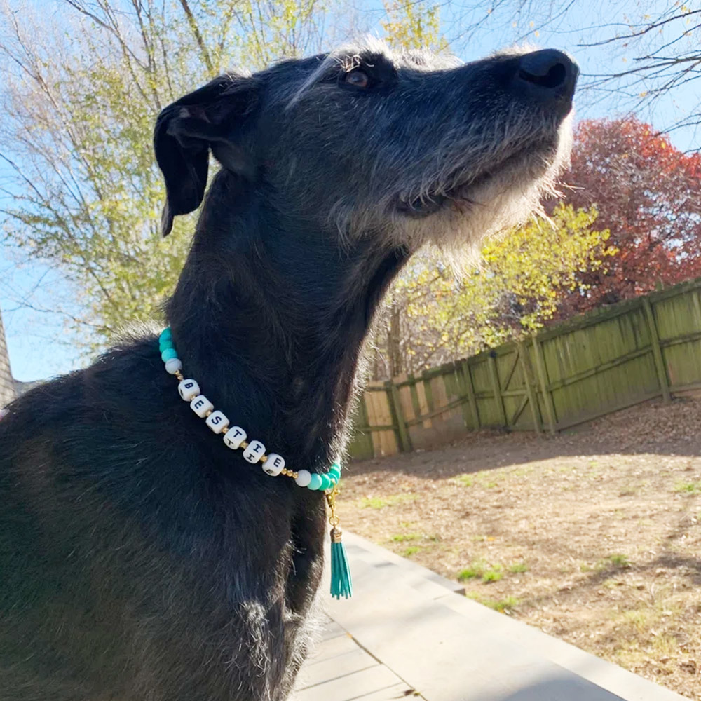 Matching Dog & Owner Friendship Bracelet Set, Silicone Letter Name Necklace, Cute Dog Birthday Gift, Dog Collar, Beaded Puppy, Matching Cat and Owner Set