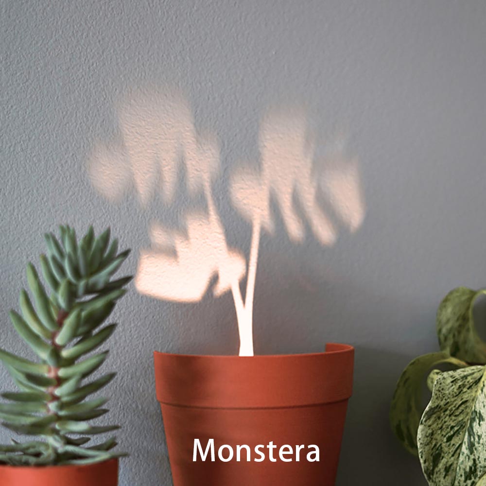 Light Projections Plant Pot with 7 Plant Accessories, Black Hole Projection Lamp, Pop-Up Cactus Light, Potted Projector Lights for Home Lawns Decoration