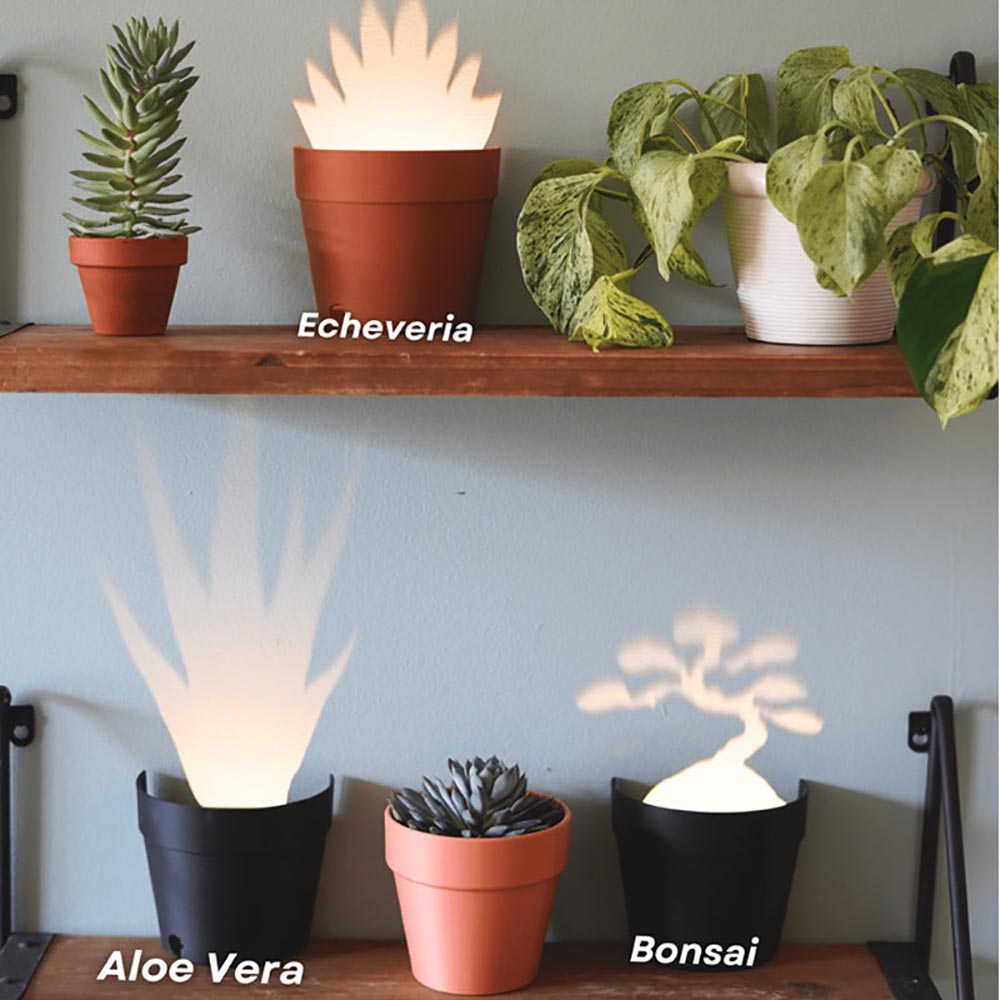 Light Projections Plant Pot with 7 Plant Accessories, Black Hole Projection Lamp, Pop-Up Cactus Light, Potted Projector Lights for Home Lawns Decoration