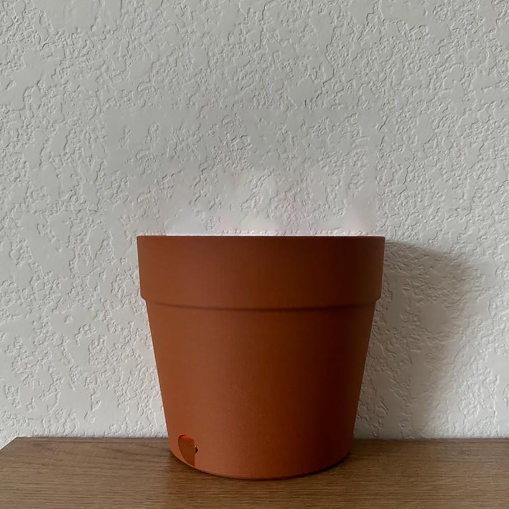 Light Projections Plant Pot with 7 Plant Accessories, Black Hole Projection Lamp, Pop-Up Cactus Light, Potted Projector Lights for Home Lawns Decoration
