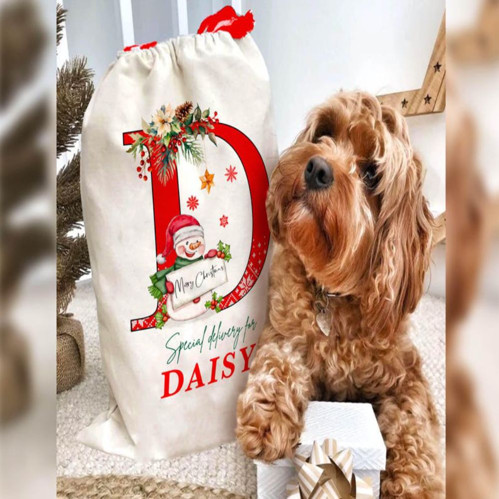 Personalized Santa Sack, Family Christmas Gift Bag