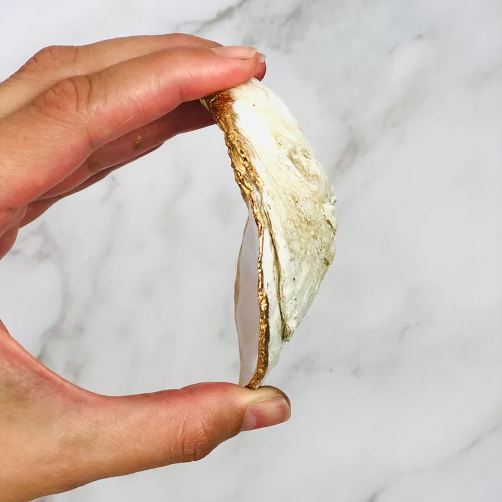 Personalized Oyster Shell Place Cards with Pearlescent, Name Placecards for Table Setting Chart for Wedding Reception Display, Wedding Decor Gifts