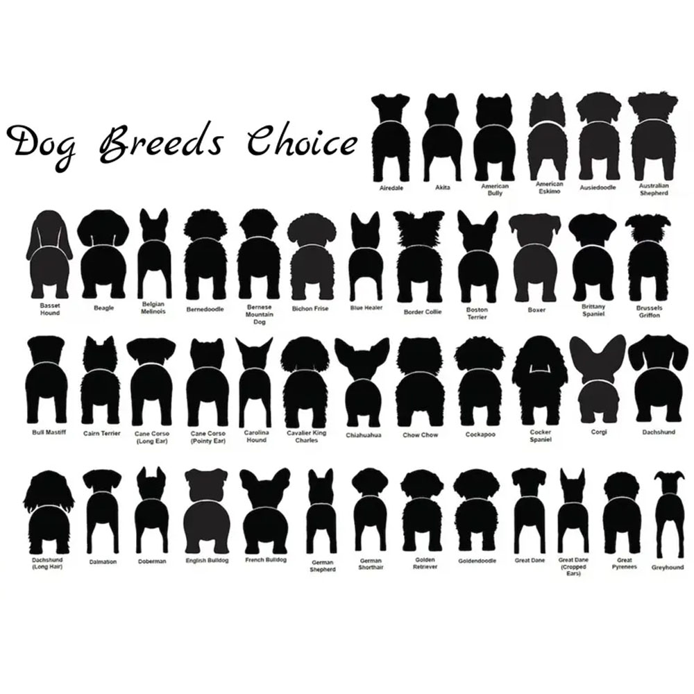 Personalized Dog Leash Holder, Leash Hook, Dog Butt Leash Holder For Wall, Gift for Dogs, Dog Hanging Sign