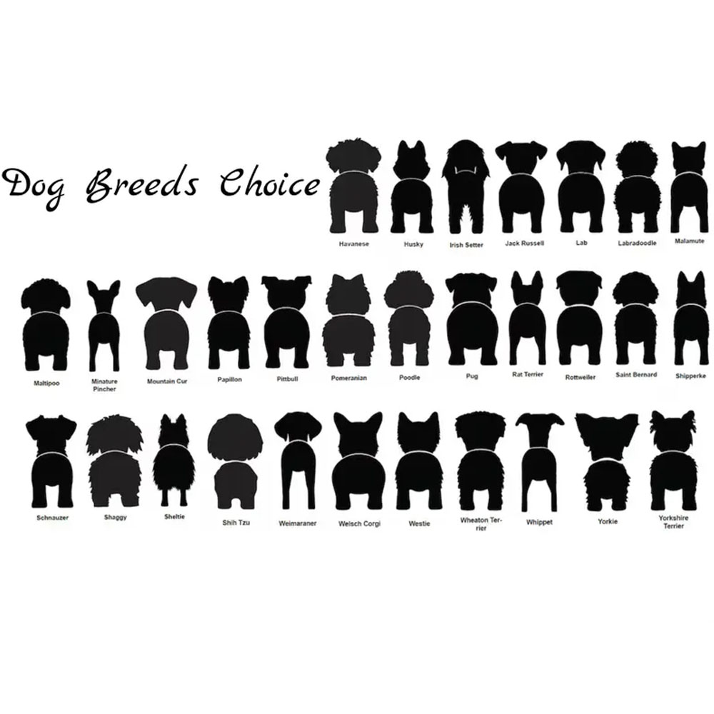 Personalized Dog Leash Holder, Leash Hook, Dog Butt Leash Holder For Wall, Gift for Dogs, Dog Hanging Sign
