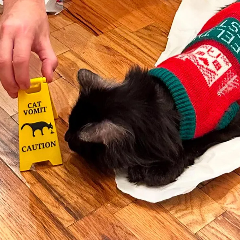 Funny Cat Vomit Caution Sign/Pee Sign, Dog Poop Signs, Wet Floor Signs, Slippery When Wet Sign, 2-Pack Pet Signs, Gifts for Pet Lovers Cat Dog Mom