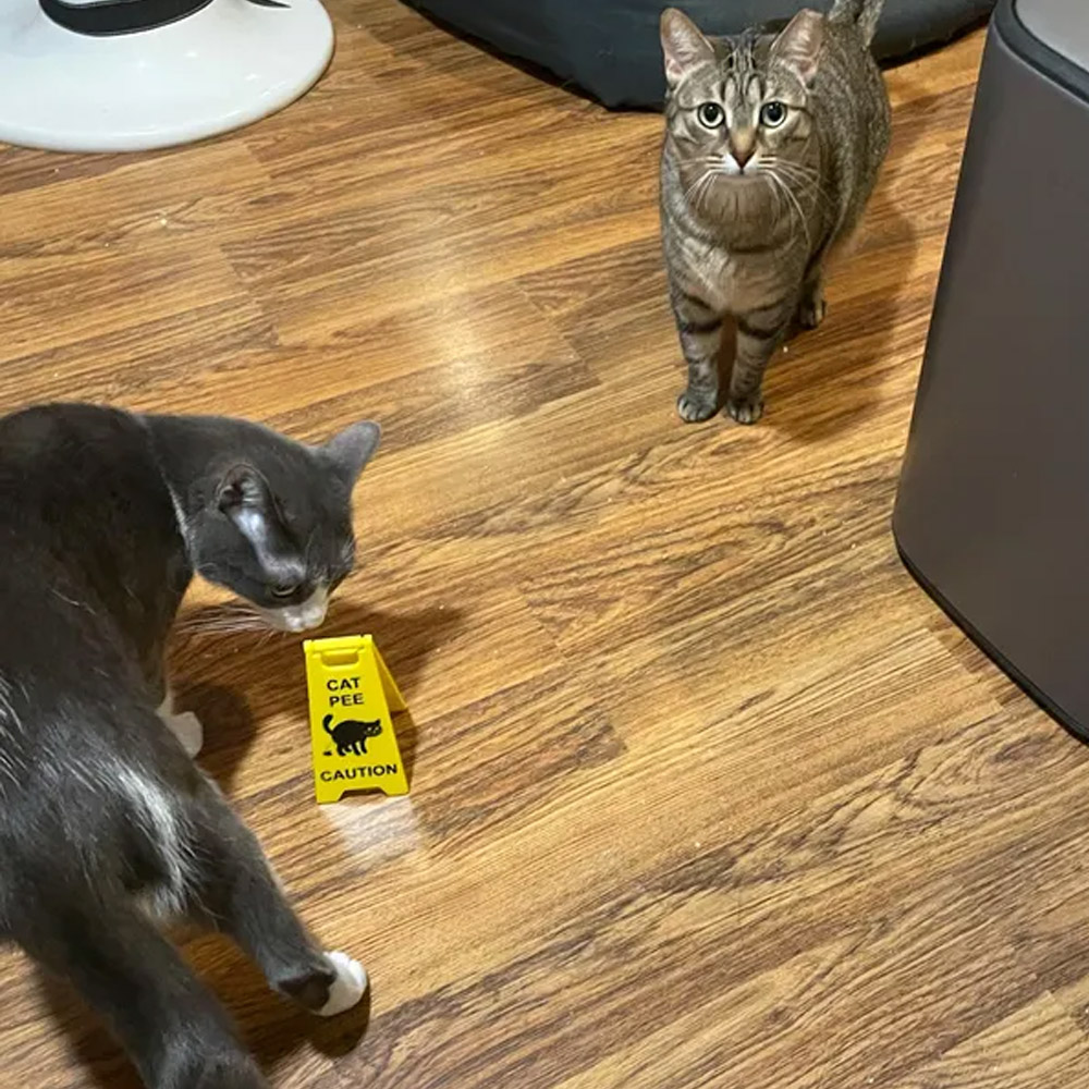 Funny Cat Vomit Caution Sign/Pee Sign, Dog Poop Signs, Wet Floor Signs, Slippery When Wet Sign, 2-Pack Pet Signs, Gifts for Pet Lovers Cat Dog Mom