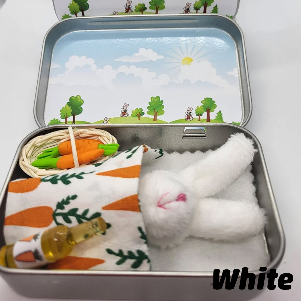 Personalized Bunny Plush Pocket, Picnic Basket Carrots Tin, Anxiety Pocket Hug, Bunny Gift, Easter or Birthday Gift, Cute Fluffy Bunny