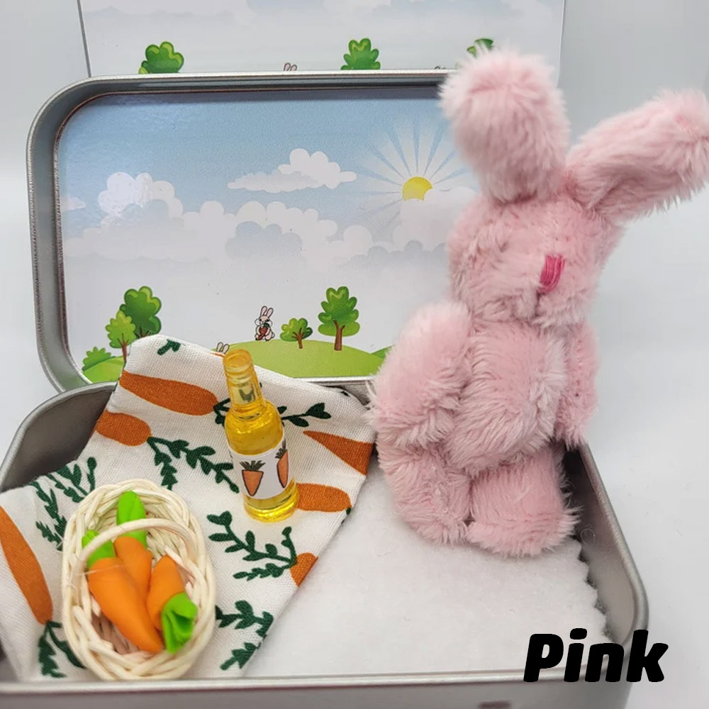 Personalized Bunny Plush Pocket, Picnic Basket Carrots Tin, Anxiety Pocket Hug, Bunny Gift, Easter or Birthday Gift, Cute Fluffy Bunny