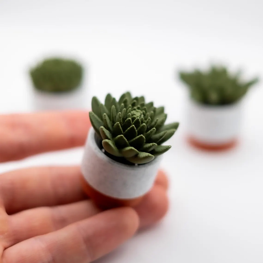 Mini Spinning Fidget Succulent Spinner