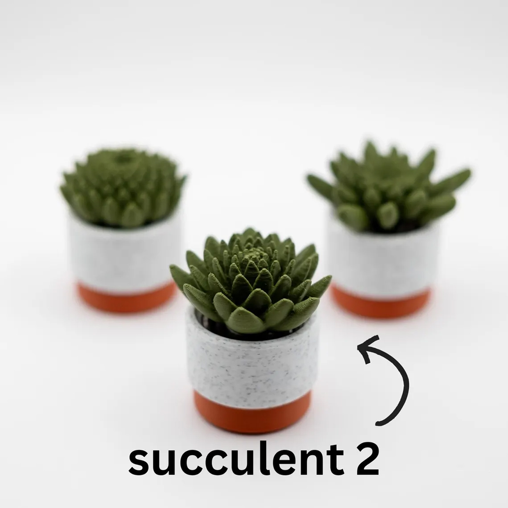 Gift for Plant Lovers