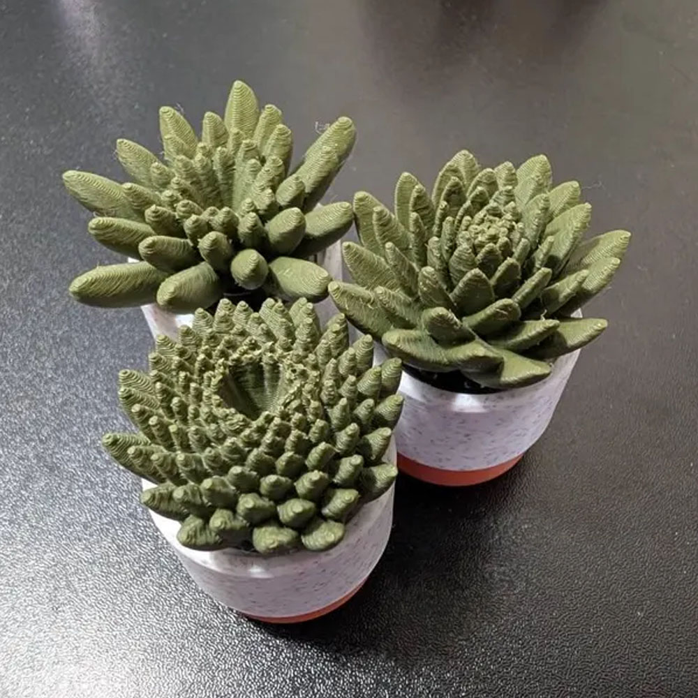 Gift for Adults