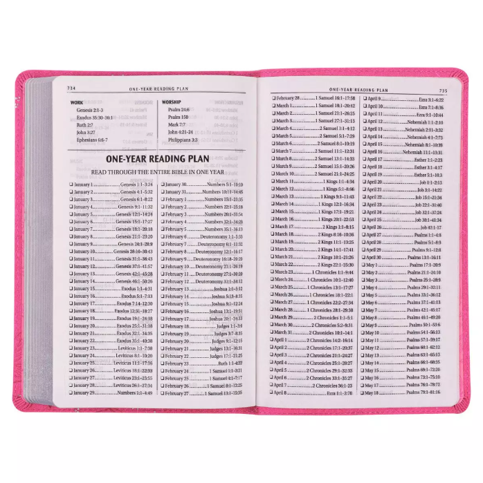 Personalized Pink Bible with Tabs – Christian Gift for Women, Girls, Study, Baptism, and Special Occasions