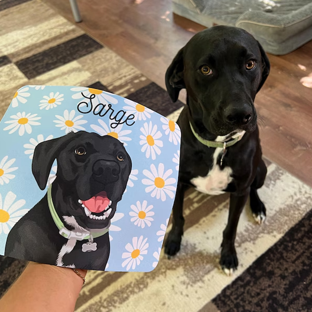 Personalized Cartoon Pet Portrait & Name