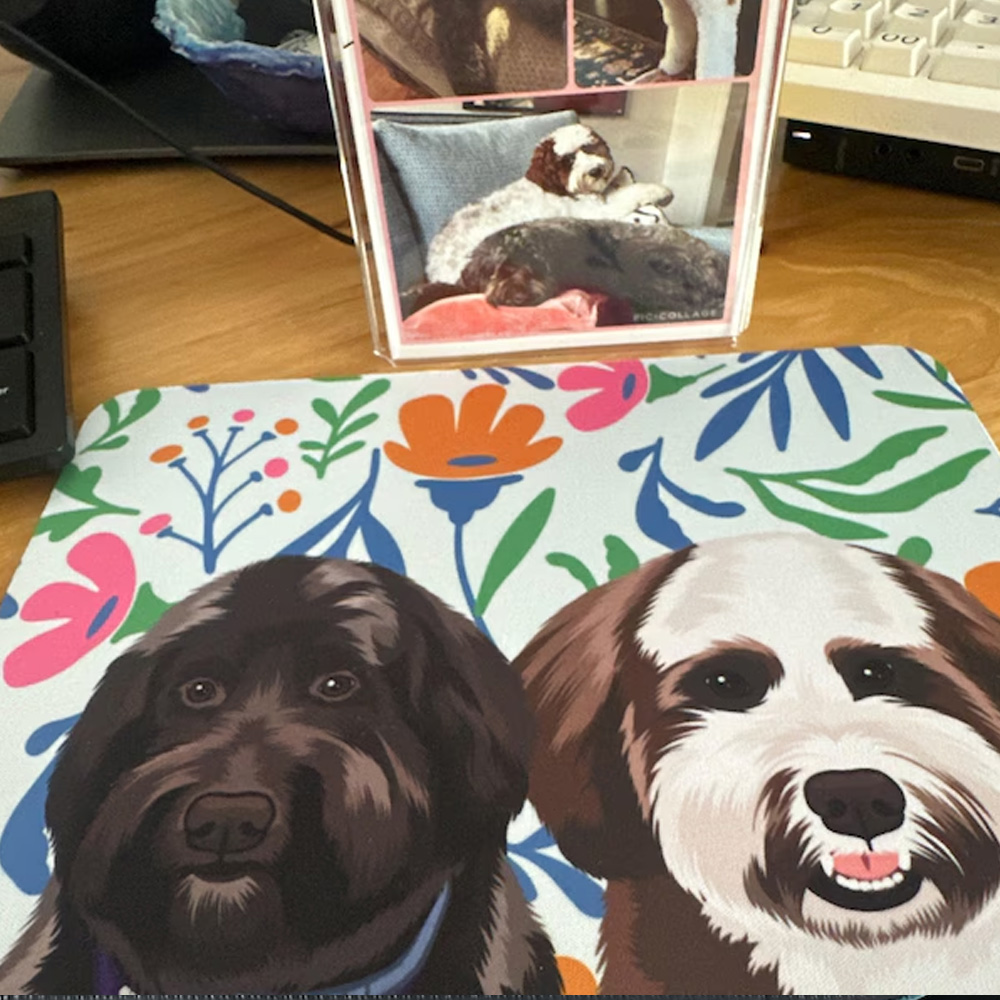 Birthday Gift 