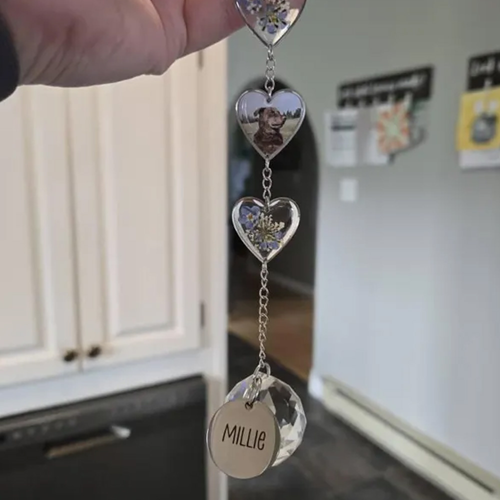 Personalized Pet Name Photo