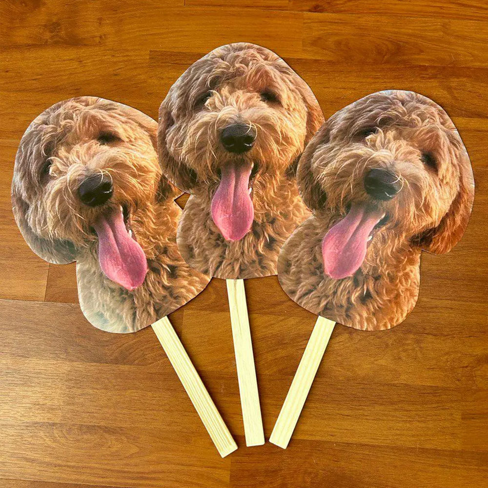 Big Head on Stick