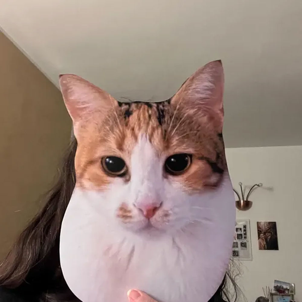 Big Head Stick