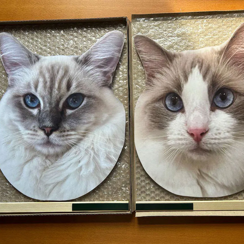Cat Face Cutout