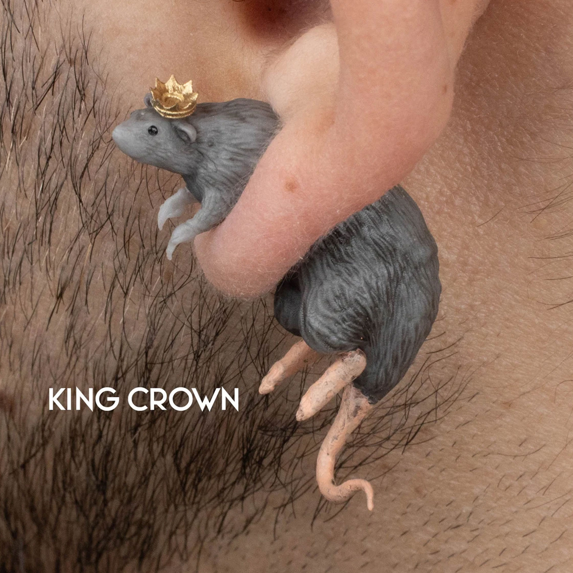 Rat Earrings with Custom Hat, 3D Printed Lightweight Rat Earrings, Eye-catching Accessories, Halloween/Birthday Gift for Animal Lovers/Family/Friends