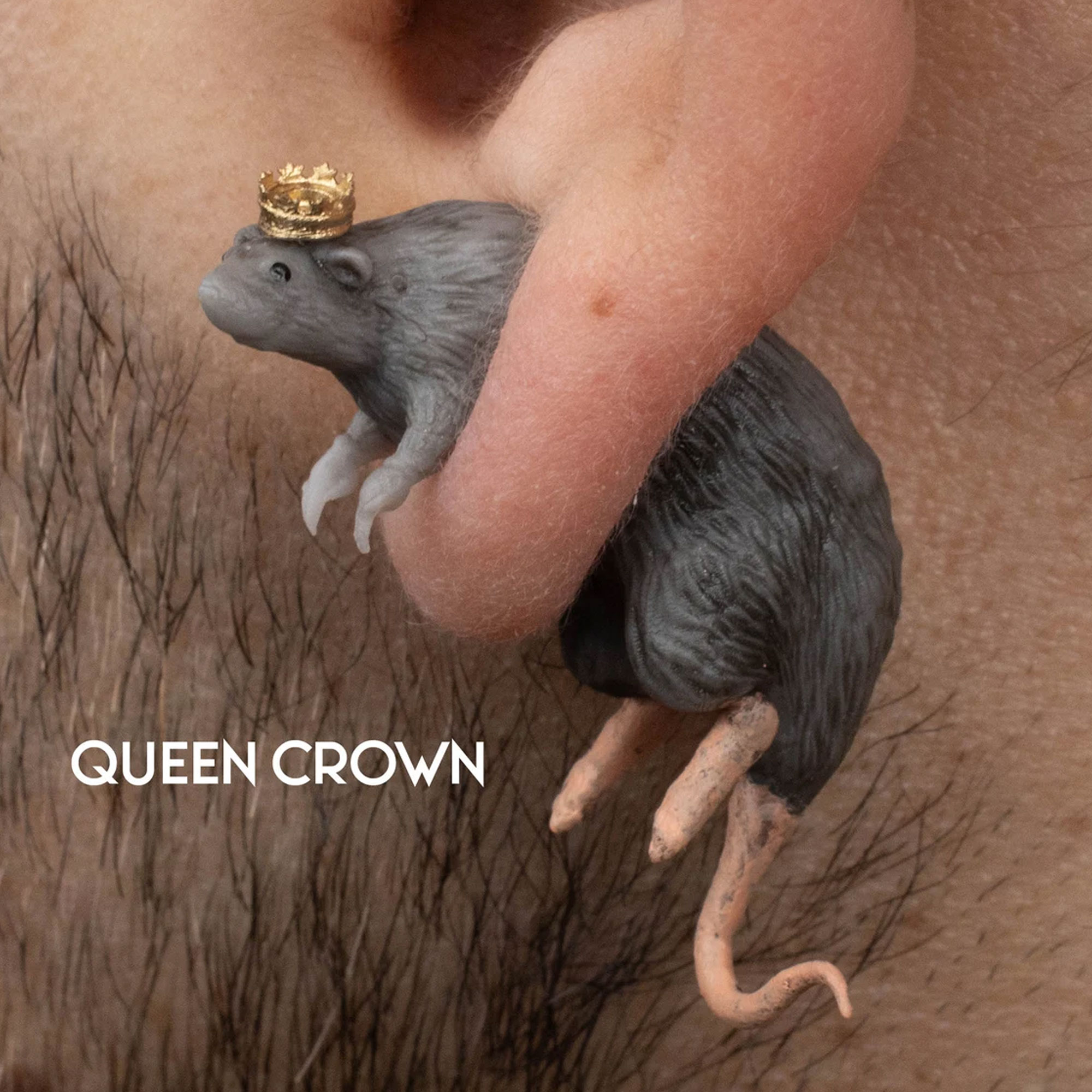 Rat Earrings with Custom Hat, 3D Printed Lightweight Rat Earrings, Eye-catching Accessories, Halloween/Birthday Gift for Animal Lovers/Family/Friends
