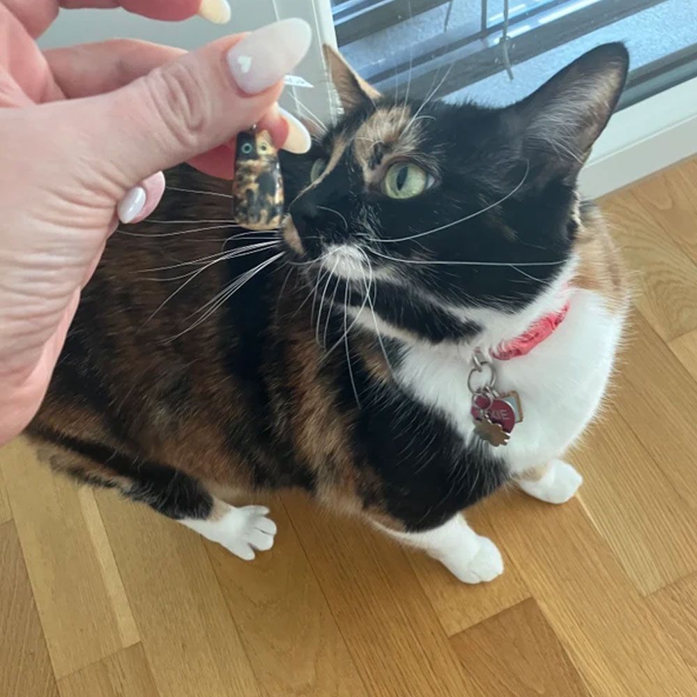 Personalized Cat Pendant Necklace, Porcelain Cute Cat Charm with Chain, Cat Jewelry, Christmas/Birthday/Anniversary Gift for Her/Cat Lovers/Owners