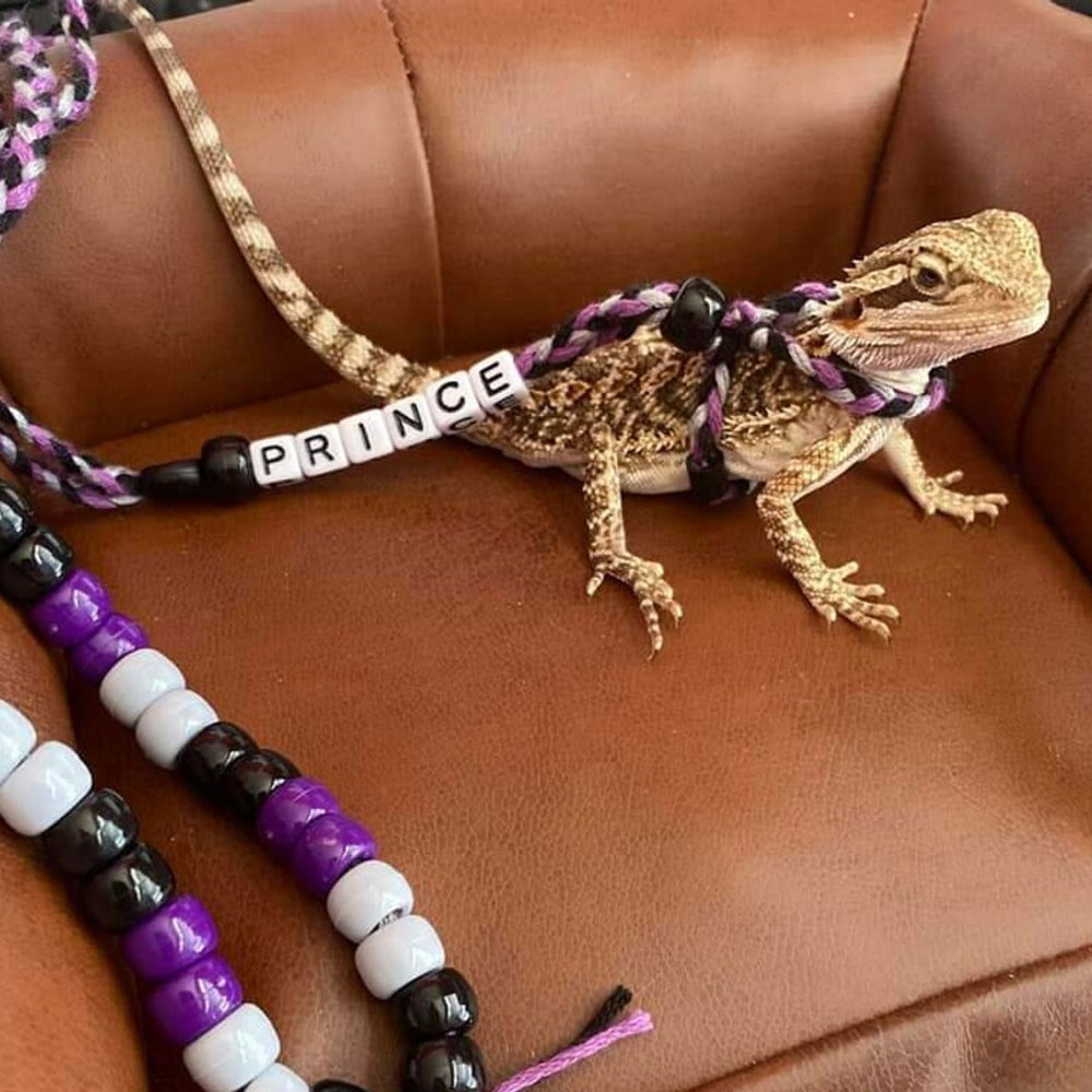 Personalized Bearded Dragon Harness & Leash with Name Beads, Adjustable Exotic Pet Accessories, Birthday/Anniversary Gift for Animal Lovers/Friends