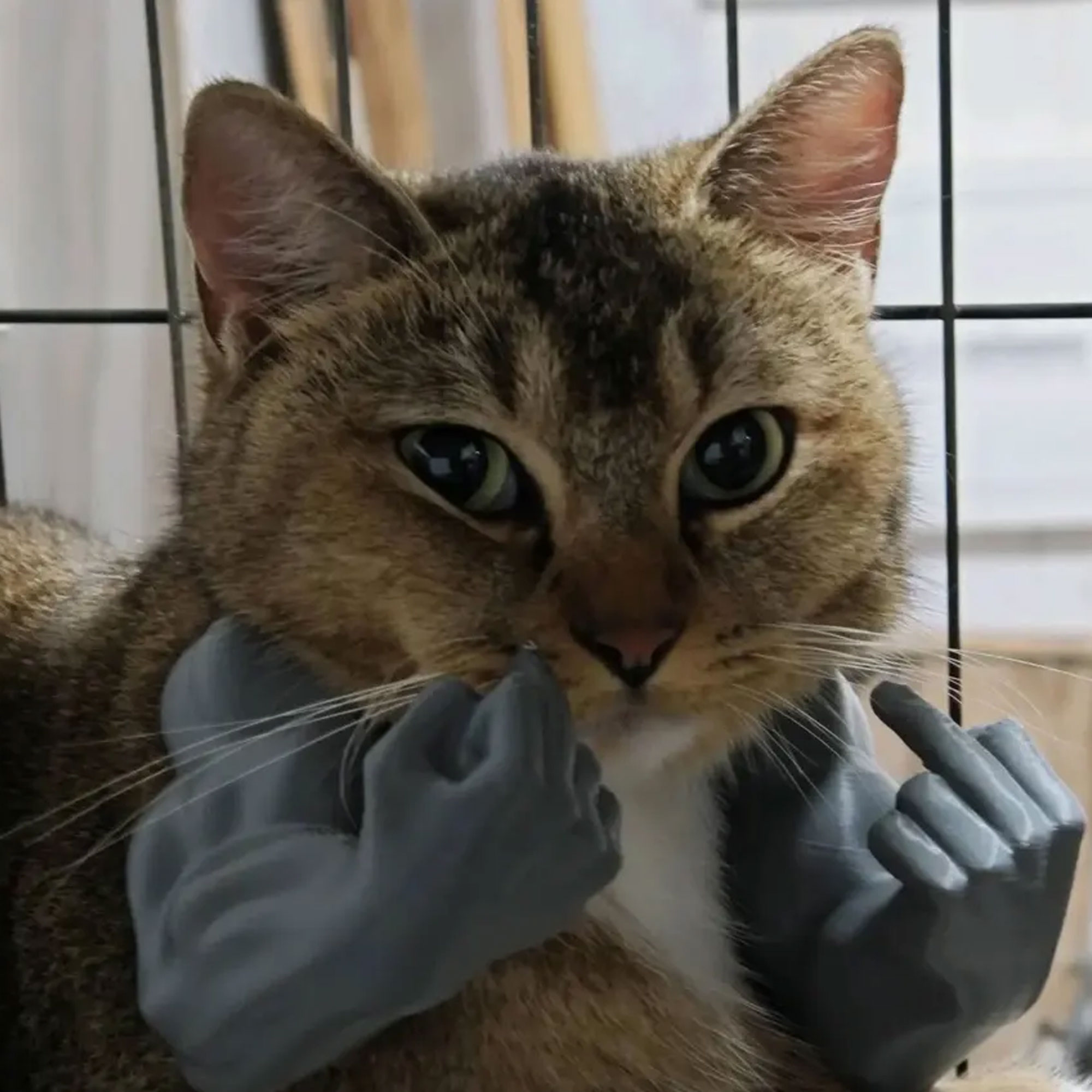 Funny Hulk Cat Muscular Arm, Colorful 3D Printed Middle Finger Pet Costume Accessory, Quirky Cosplay Prop for Cats, Gift for Cat Owners/Lovers/Friends