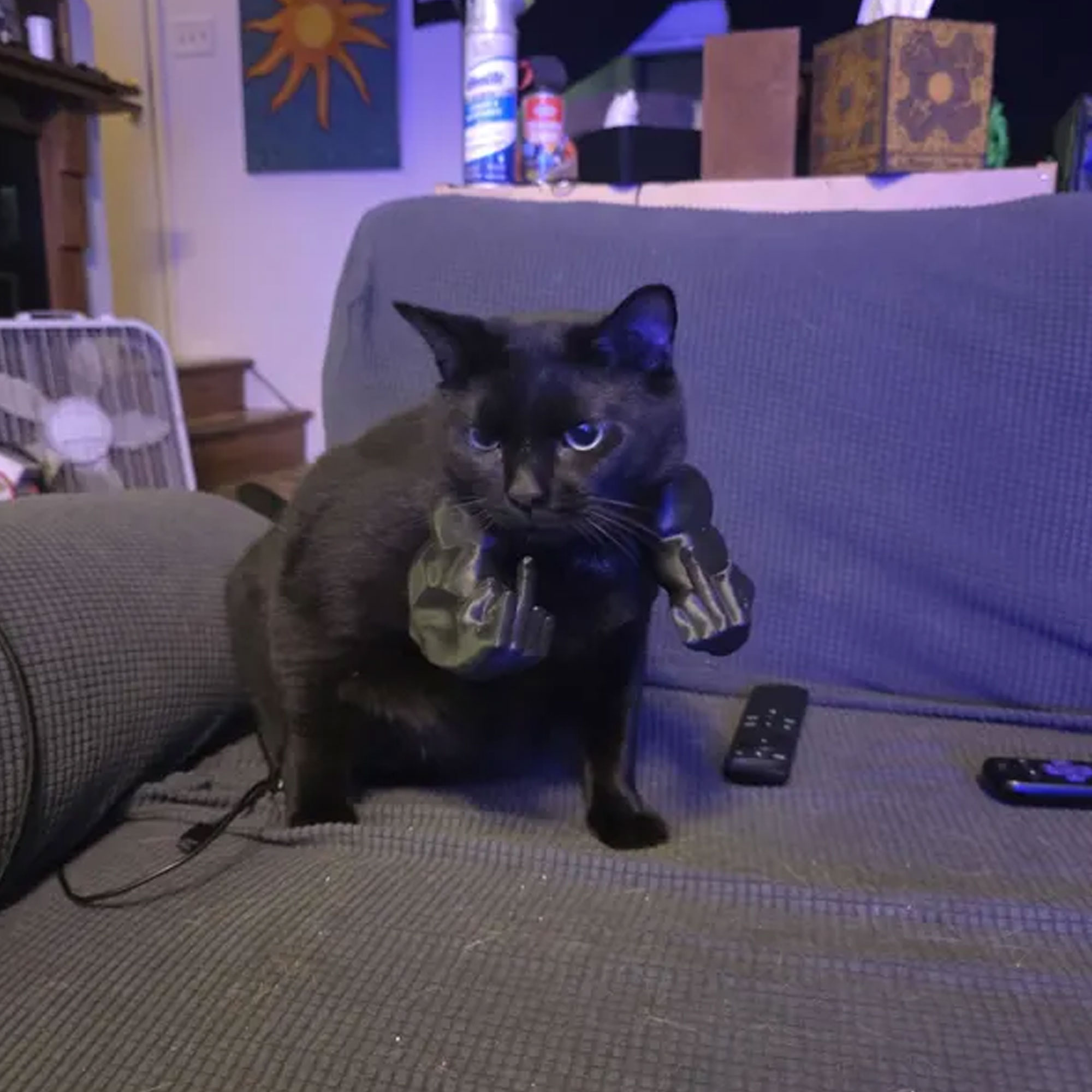 Funny Hulk Cat Muscular Arm, Colorful 3D Printed Middle Finger Pet Costume Accessory, Quirky Cosplay Prop for Cats, Gift for Cat Owners/Lovers/Friends