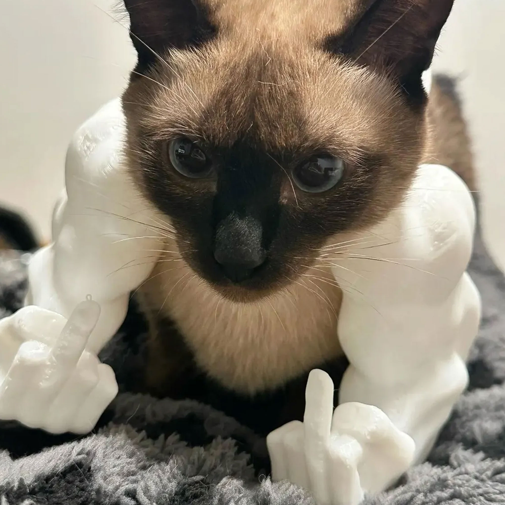 Funny Hulk Cat Muscular Arm, Colorful 3D Printed Middle Finger Pet Costume Accessory, Quirky Cosplay Prop for Cats, Gift for Cat Owners/Lovers/Friends