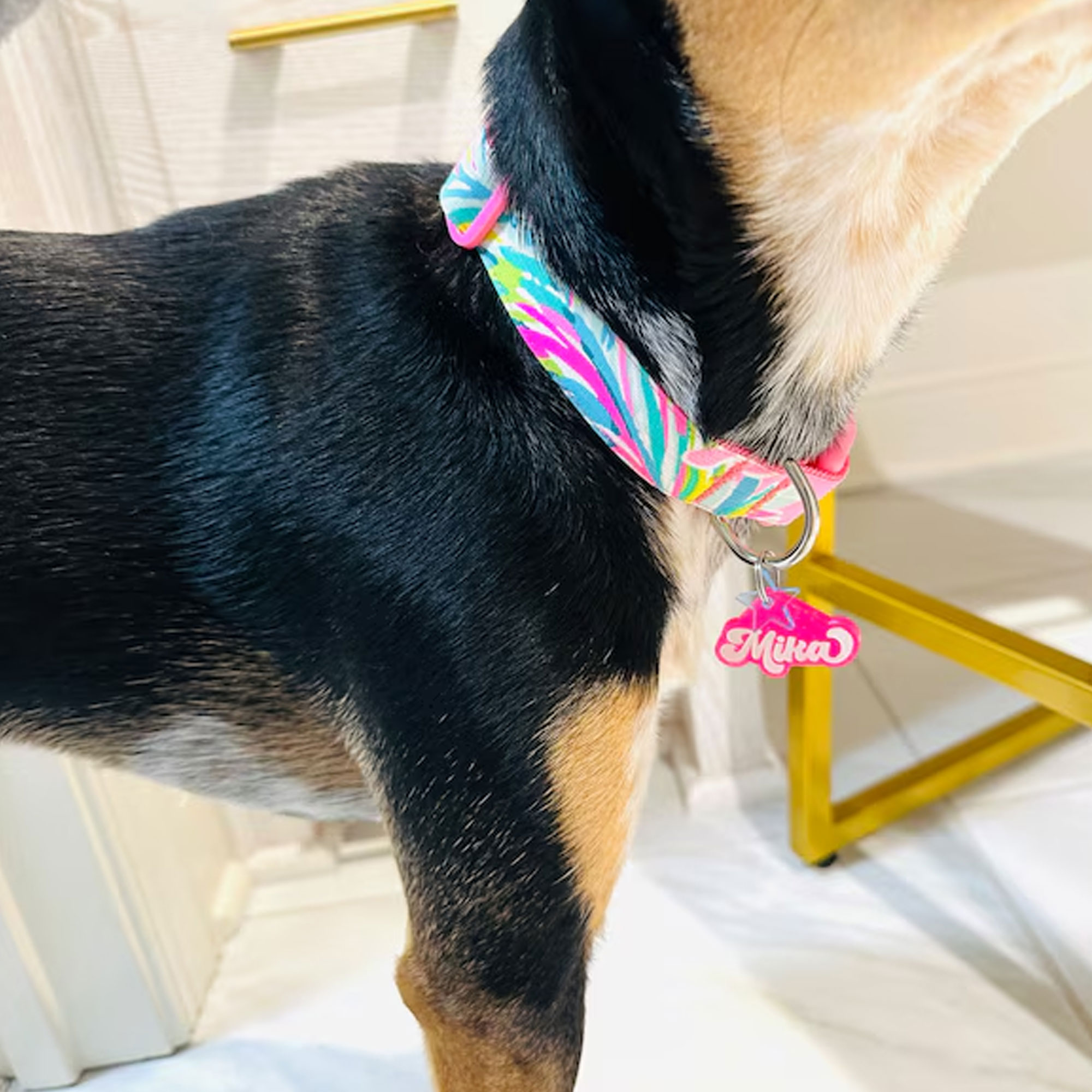 Personalized Glitter Pet Tag with Name, Custom Colorful Retro Groovy Acrylic Dog Cat ID, Pet Name Charm with Split Ring, Gift for Pet Owners/Lovers