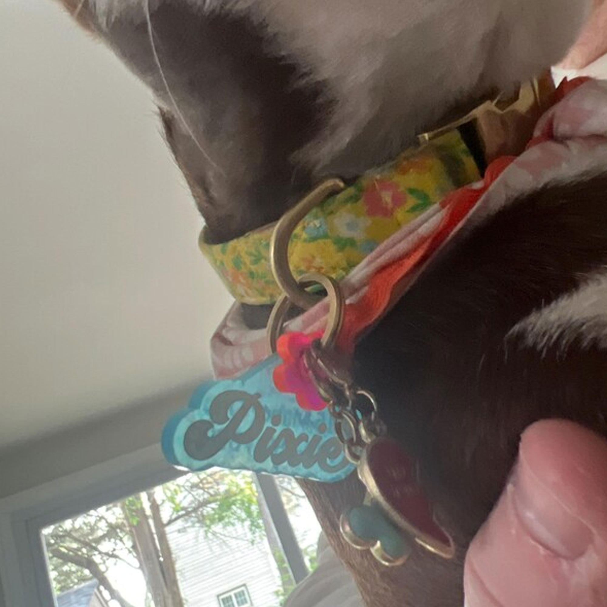 Personalized Glitter Pet Tag with Name, Custom Colorful Retro Groovy Acrylic Dog Cat ID, Pet Name Charm with Split Ring, Gift for Pet Owners/Lovers