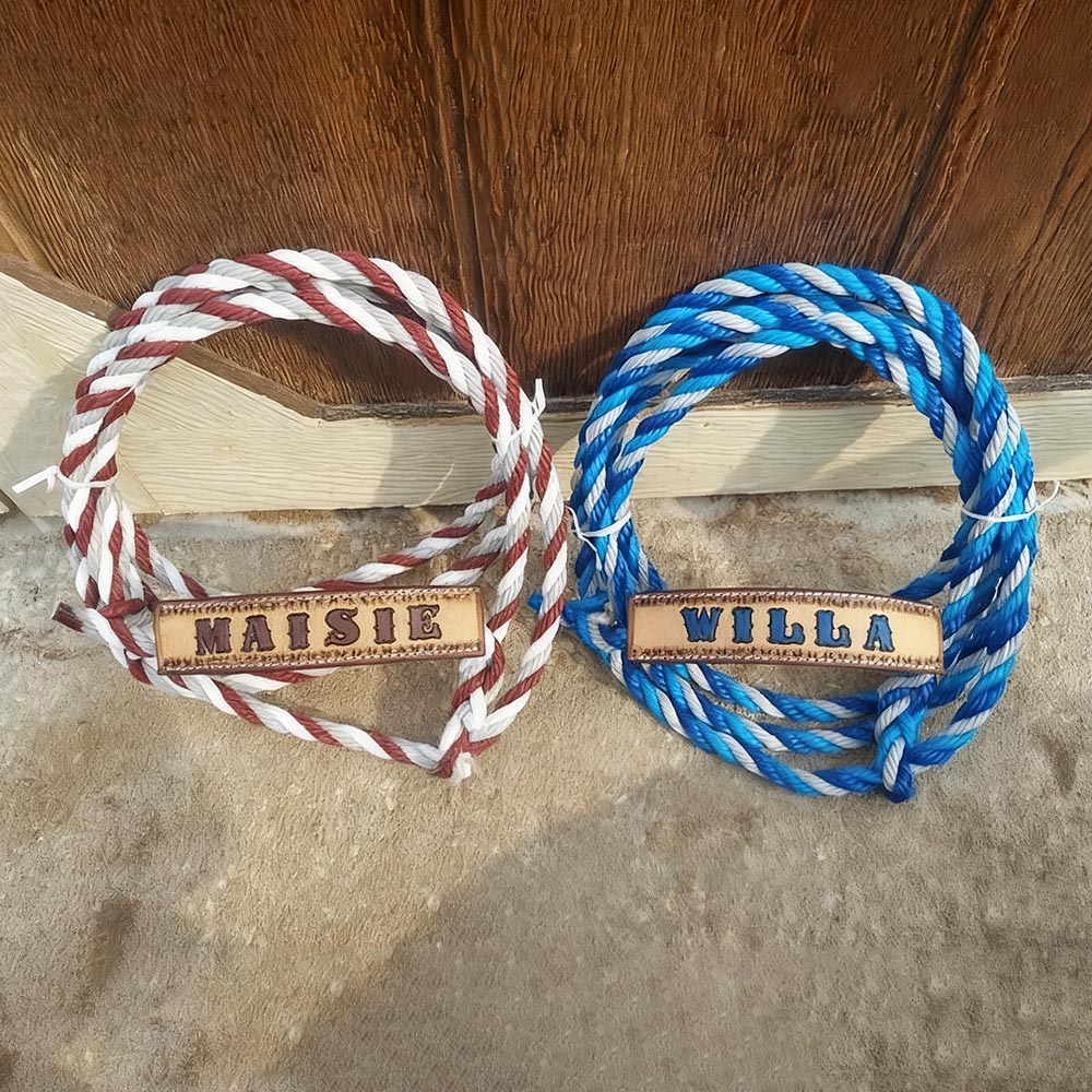 Personalized Name Tooled Cattle Halter, Colorful Braided Rope Lead for Calves, Custom Leather Name Plate, Farm Accessory, Gift for Farmers/Family