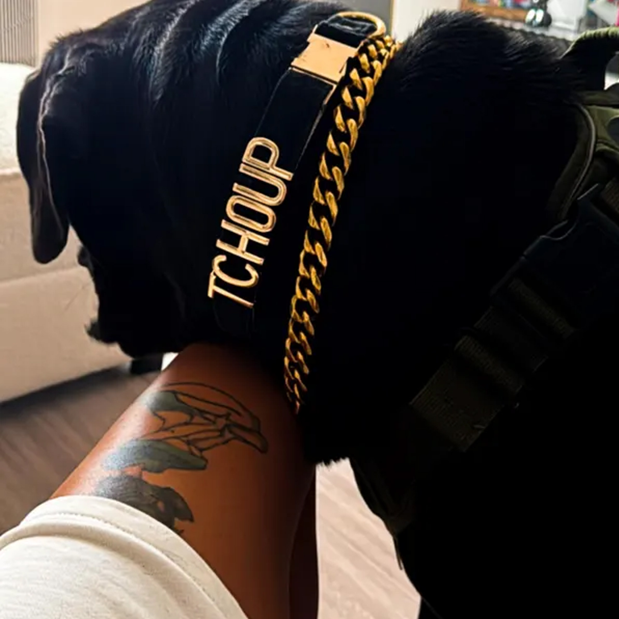 Personalized Velvet Dog Collar with Name, Colorful Adjustable Puppy Gold Metal Letters Collar, Pet Accessory, Birthday Gift for Dog Mom/Pet Owners