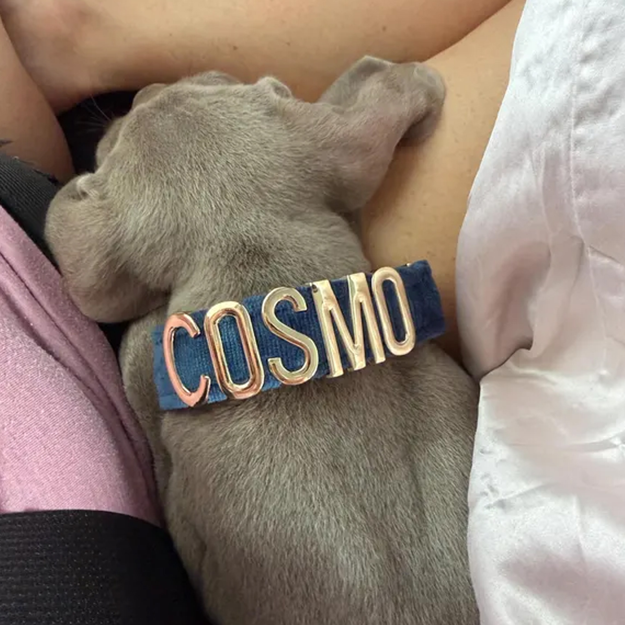 Personalized Velvet Dog Collar with Name, Colorful Adjustable Puppy Gold Metal Letters Collar, Pet Accessory, Birthday Gift for Dog Mom/Pet Owners