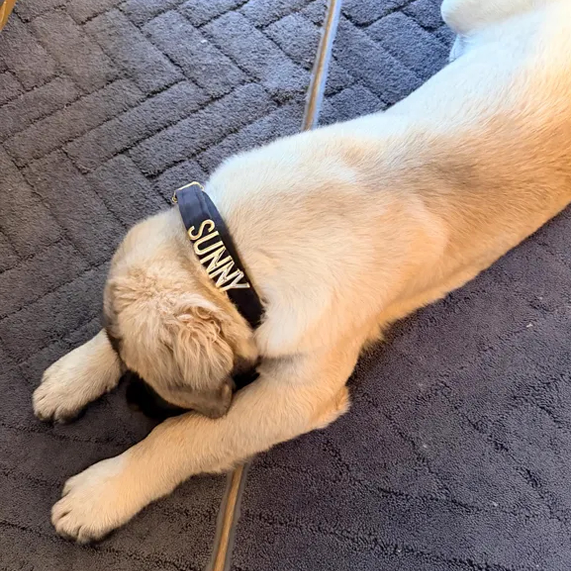 Personalized Velvet Dog Collar with Name, Colorful Adjustable Puppy Gold Metal Letters Collar, Pet Accessory, Birthday Gift for Dog Mom/Pet Owners