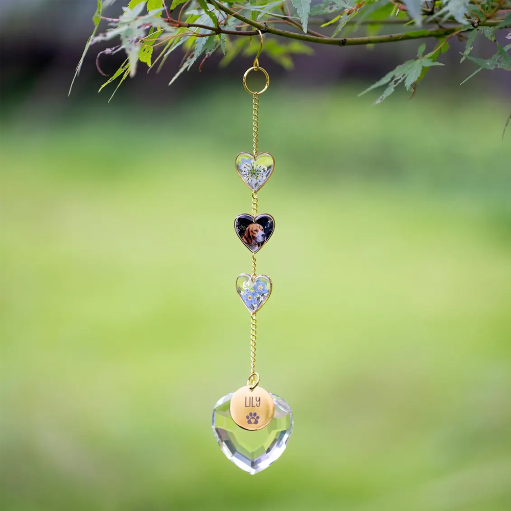 Custom Pet Name & Photo Wind Chime, Resin-Pressed Forget-Me-Not Flowers Wind Chime, Healing Pet Loss Keepsake, Anniversary Gift for Pet Owners/Family