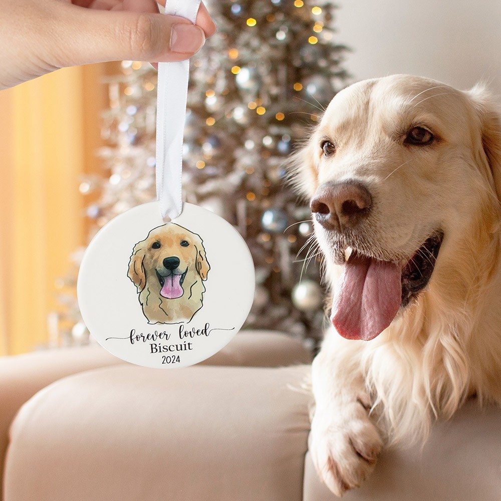 pet ornament
