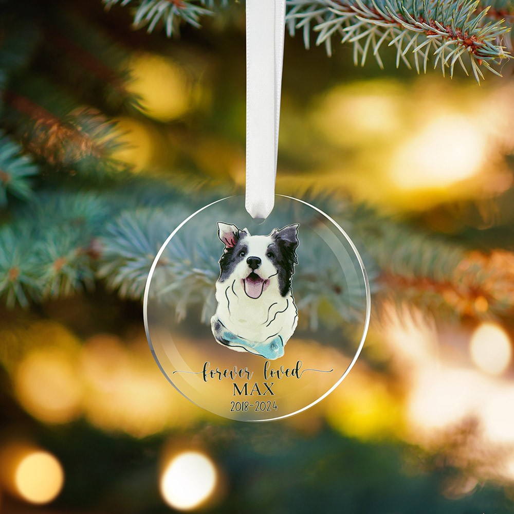 acrylic ornament