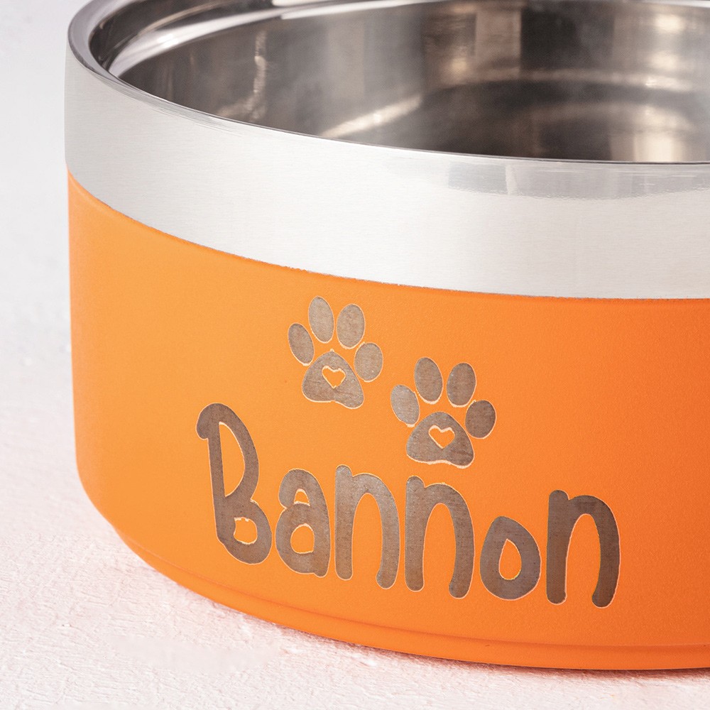 Pet Food Bowl