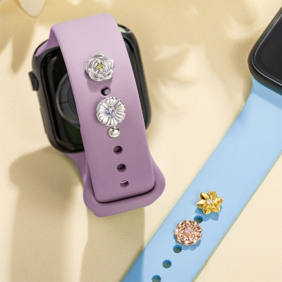 gift for Smart watch user