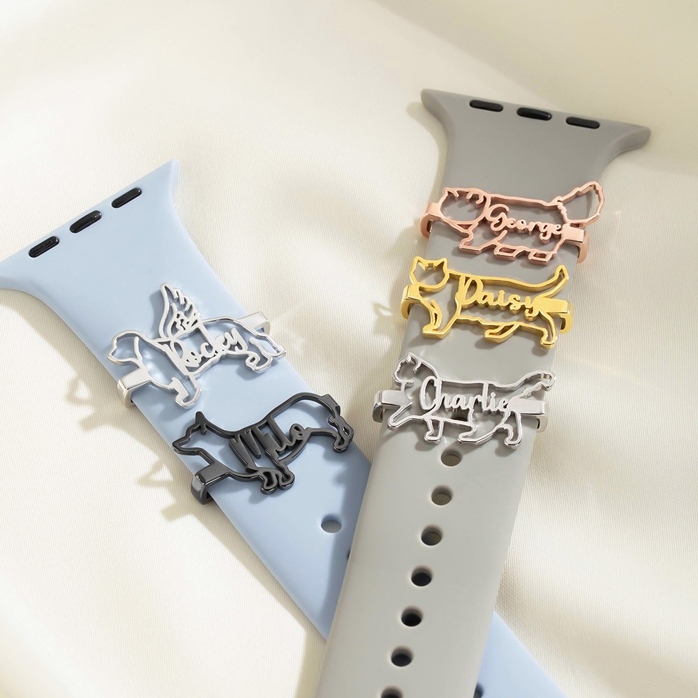 watch accessories