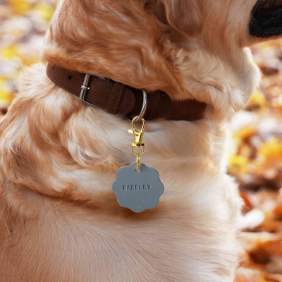 Pet ID Cards